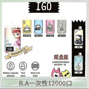 B.A IGD12000口 一次性拋棄式 電子煙