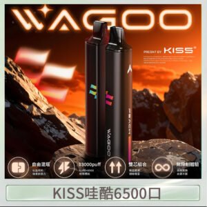 WAGOO哇酷Kiss5 6500口拋棄式 | 自由混搭雙口味 | 雙芯組合