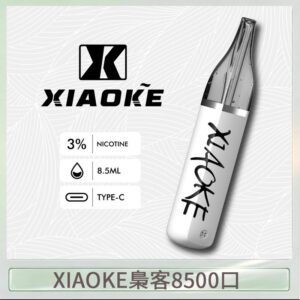 梟客XIAOKE一次性電子菸拋棄式8500口
