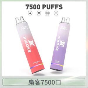 梟客XIAOKE一次性電子菸拋棄式7500口